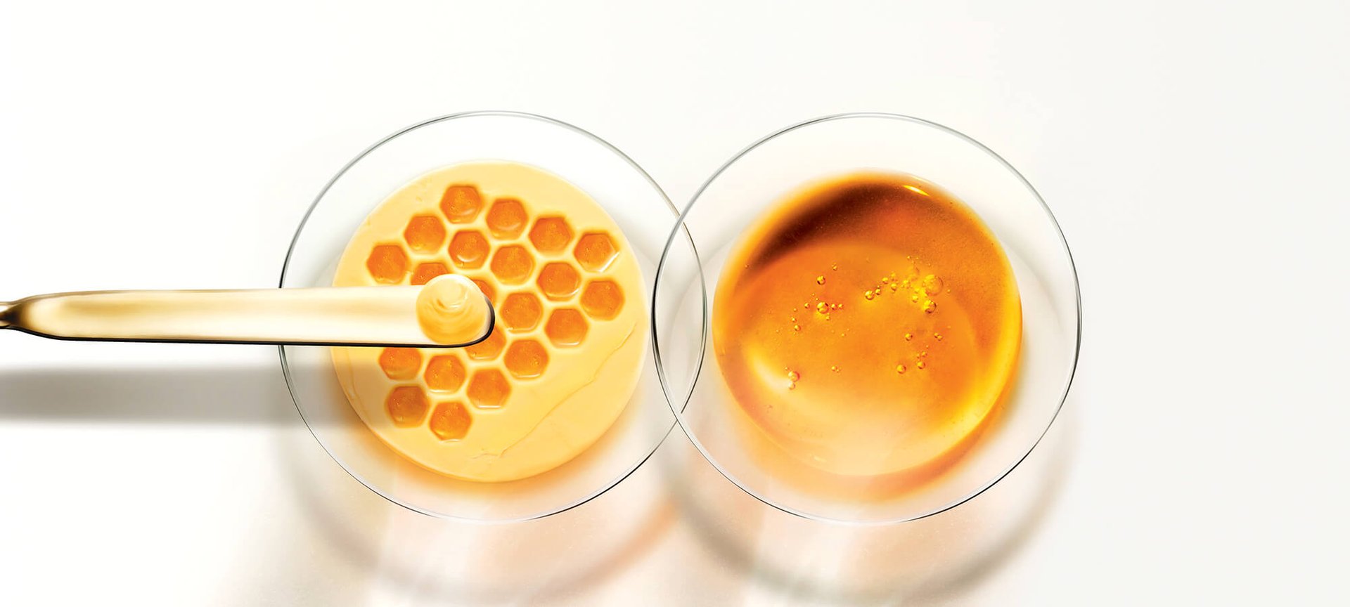 PASICE MANUKA 2