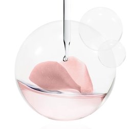 PASICE PIVOINE 20