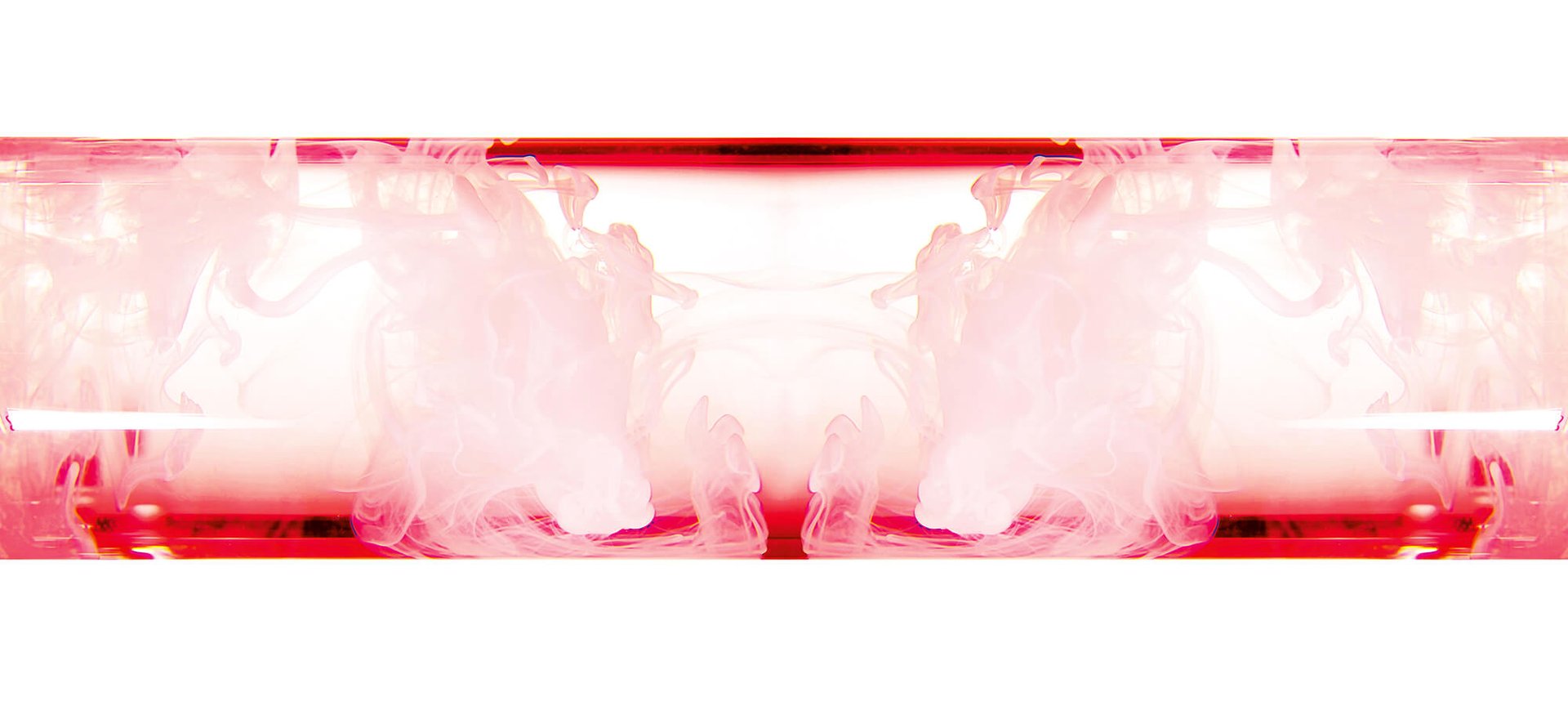 PASICE PRO XYLANE 6